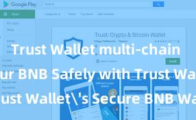 Trust Wallet multi-chain Store Your BNB Safely with Trust Wallet's Secure BNB Wallet